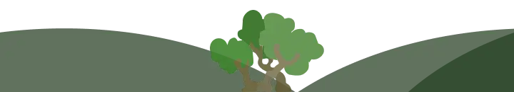 Decorative illustration